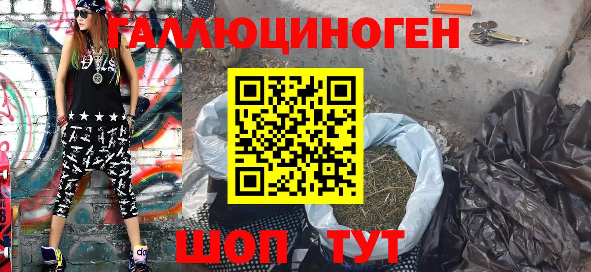 Галлюциногенные грибы GOLDEN TEACHER  Вход с VPN  Тара  Псилоцибиновые грибы мицелий 